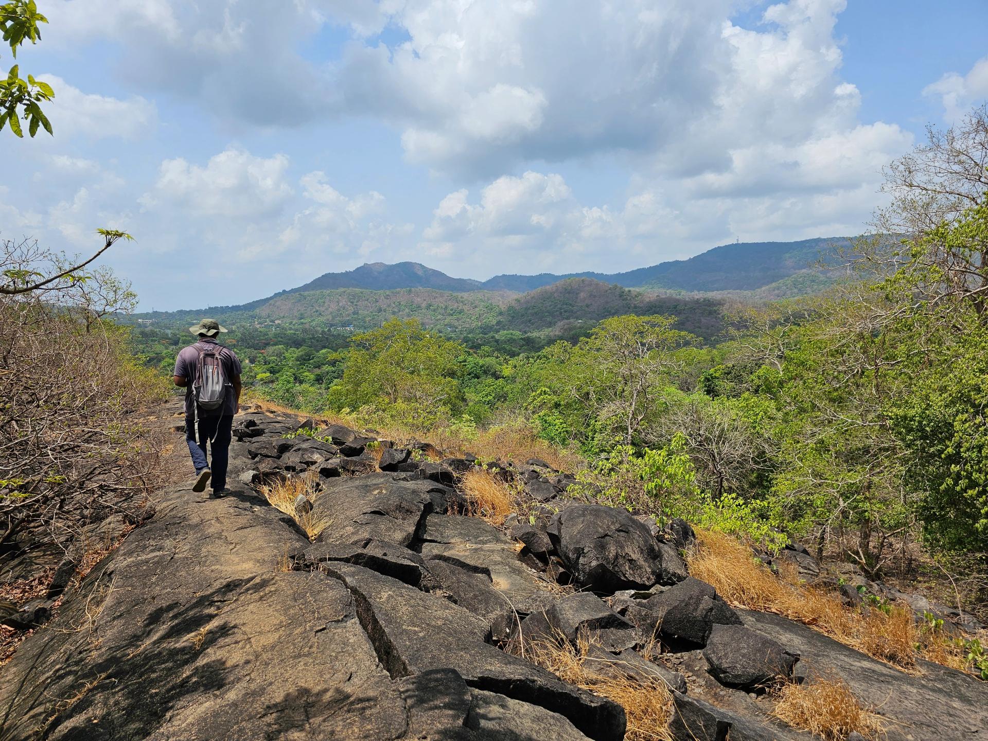 Wildlife Walk at SGNP